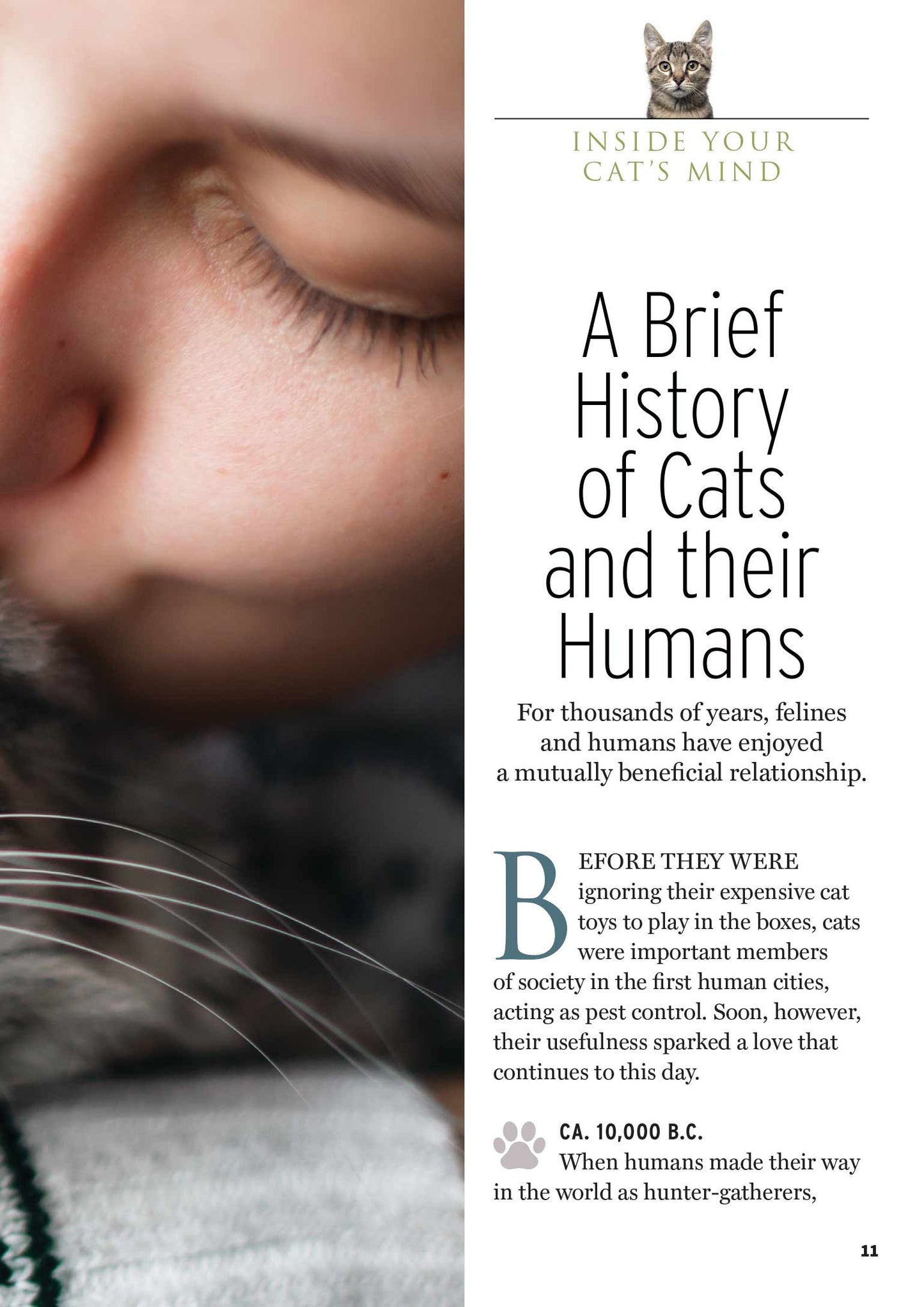 Inside Your Cat's Mind - Guide to Speak Fluent Feline, History & Evolution, 5 Ways To Get A Cat To Like You, FAQs, Cat Royalty, Kittens, Stats, Fun Facts, Championship Breeds, Health Benefits & More!