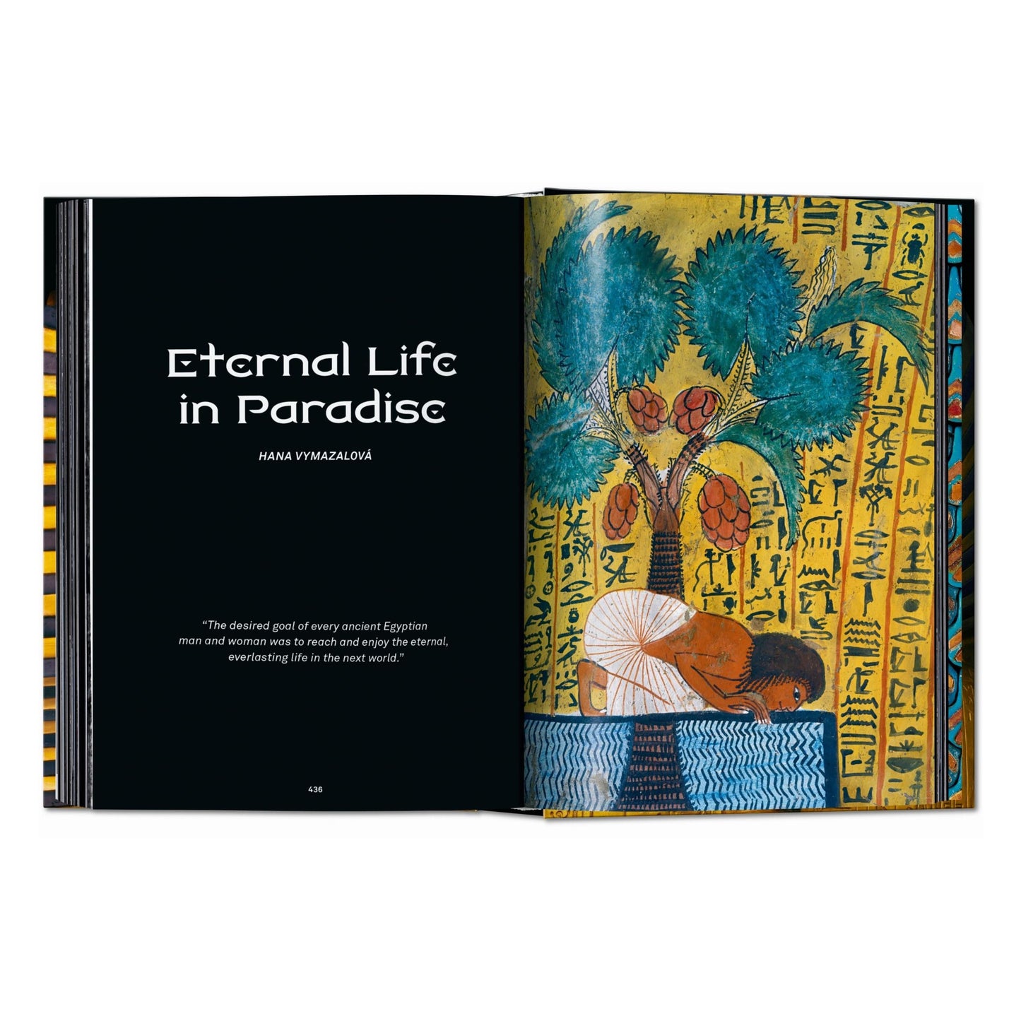 King Tut. The Journey through the Underworld. 45th Ed. (English) Book