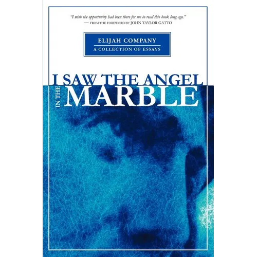 I Saw the Angel in the Marble