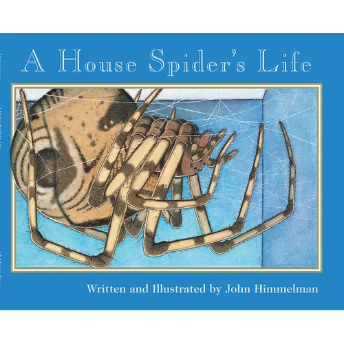 A House Spider's Life (Nature Upclose)