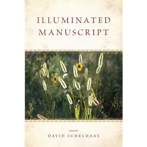 Illuminated Manuscript