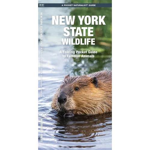 New York State Wildlife: A Folding Pocket Guide to Familiar Animals