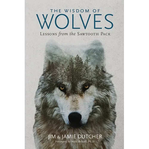 The Wisdom of Wolves: Lessons from the Sawtooth Pack