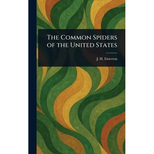 The Common Spiders of the United States