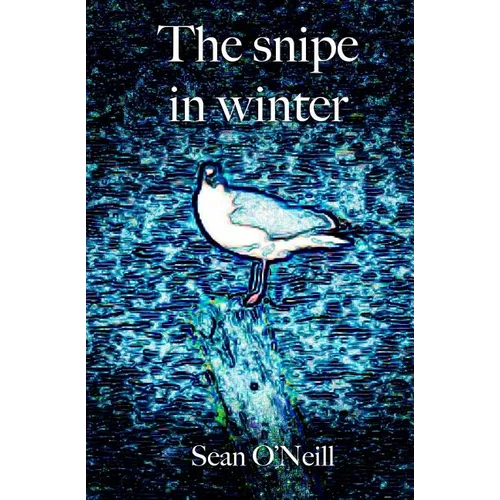 The snipe in winter