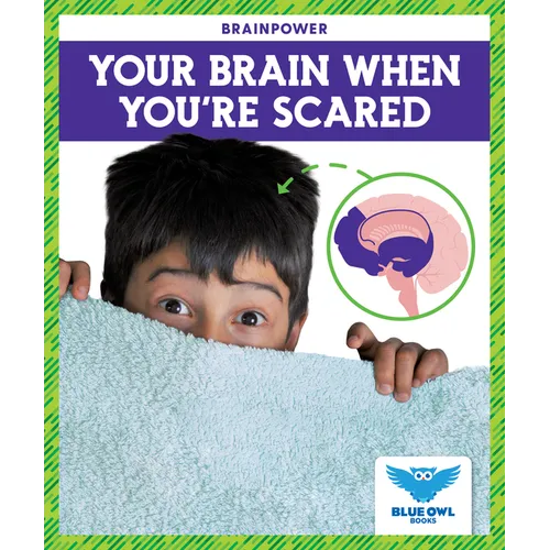 Your Brain When You're Scared