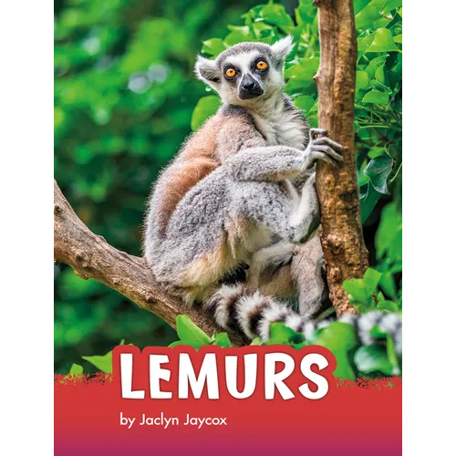 Lemurs