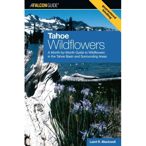 Tahoe Wildflowers