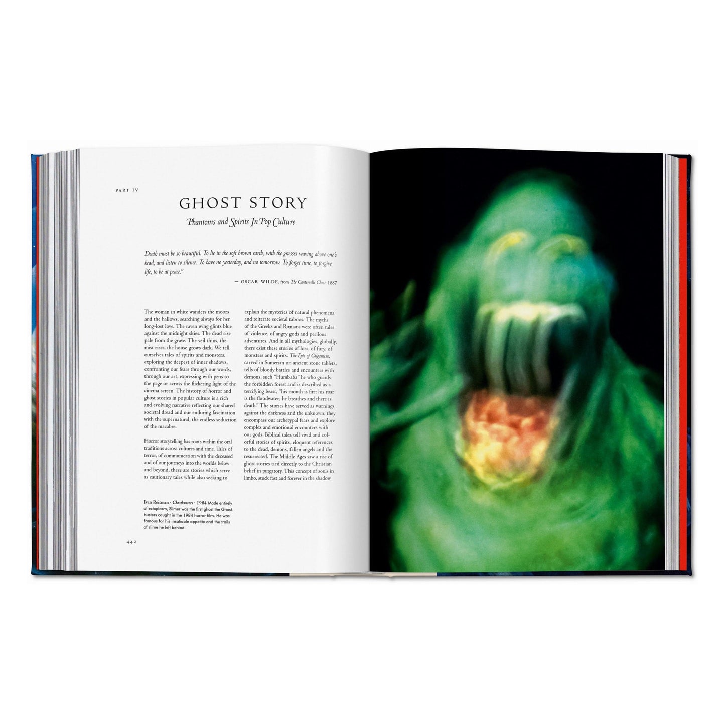 Spirit Worlds. The Library of Esoterica (English) Book