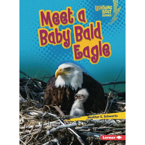 Meet a Baby Bald Eagle