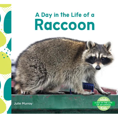 Day in the Life of a Raccoon