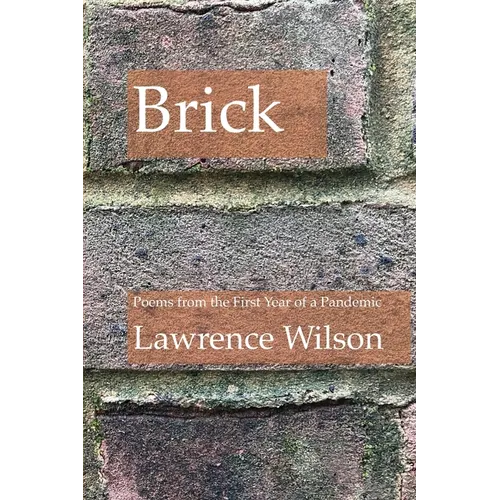 Brick: Poems from the First Year of a Pandemic
