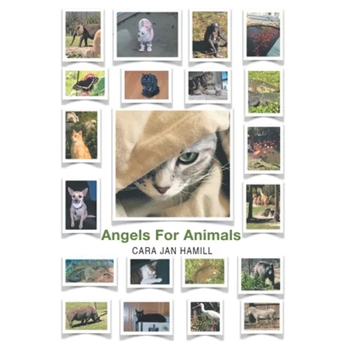 Angels for Animals
