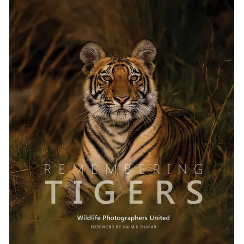Remembering Tigers
