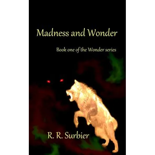 Madness and Wonder: Book one of the Wonder series
