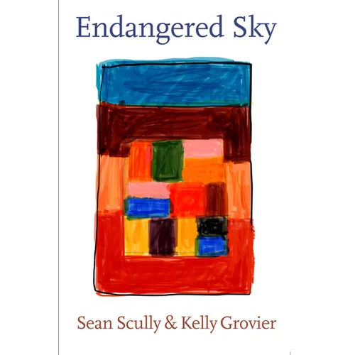 Sean Scully & Kelly Grovier: Endangered Sky