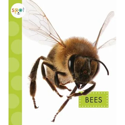 Bees