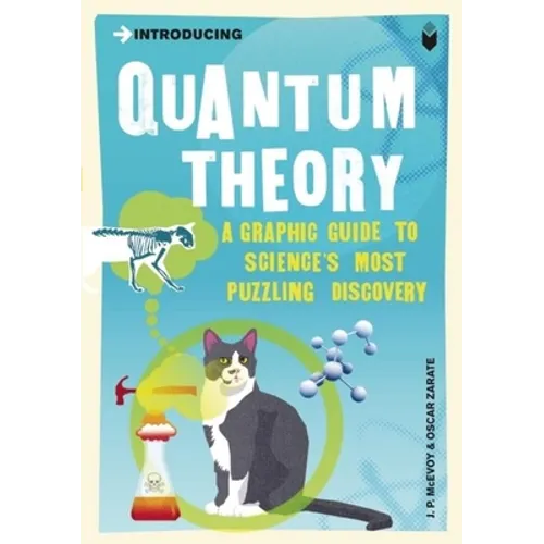 Introducing Quantum Theory: A Graphic Guide