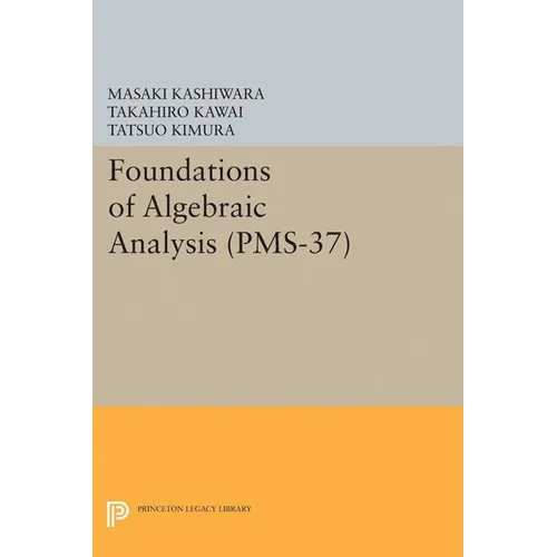 Foundations of Algebraic Analysis