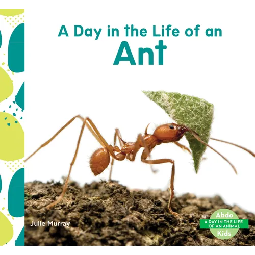 Day in the Life of an Ant