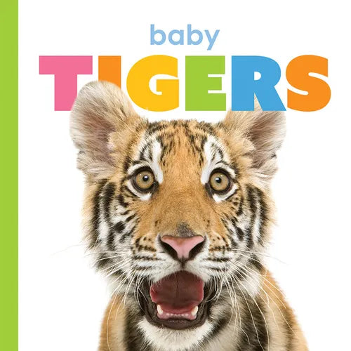 Baby Tigers