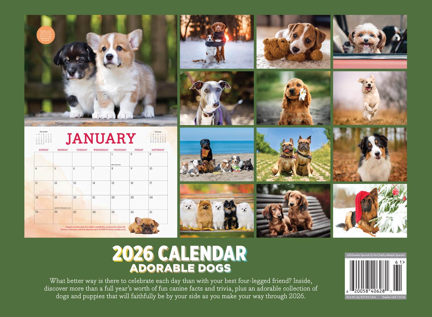 Adorable Dogs - 2026 Calendar: A Year Of Four-Legged Friends, 12 Months Of Heartwarming & Joyful Dog Photography To Cherish All Year Long, Celebrate Our Furry Companions, Make Memories & More!