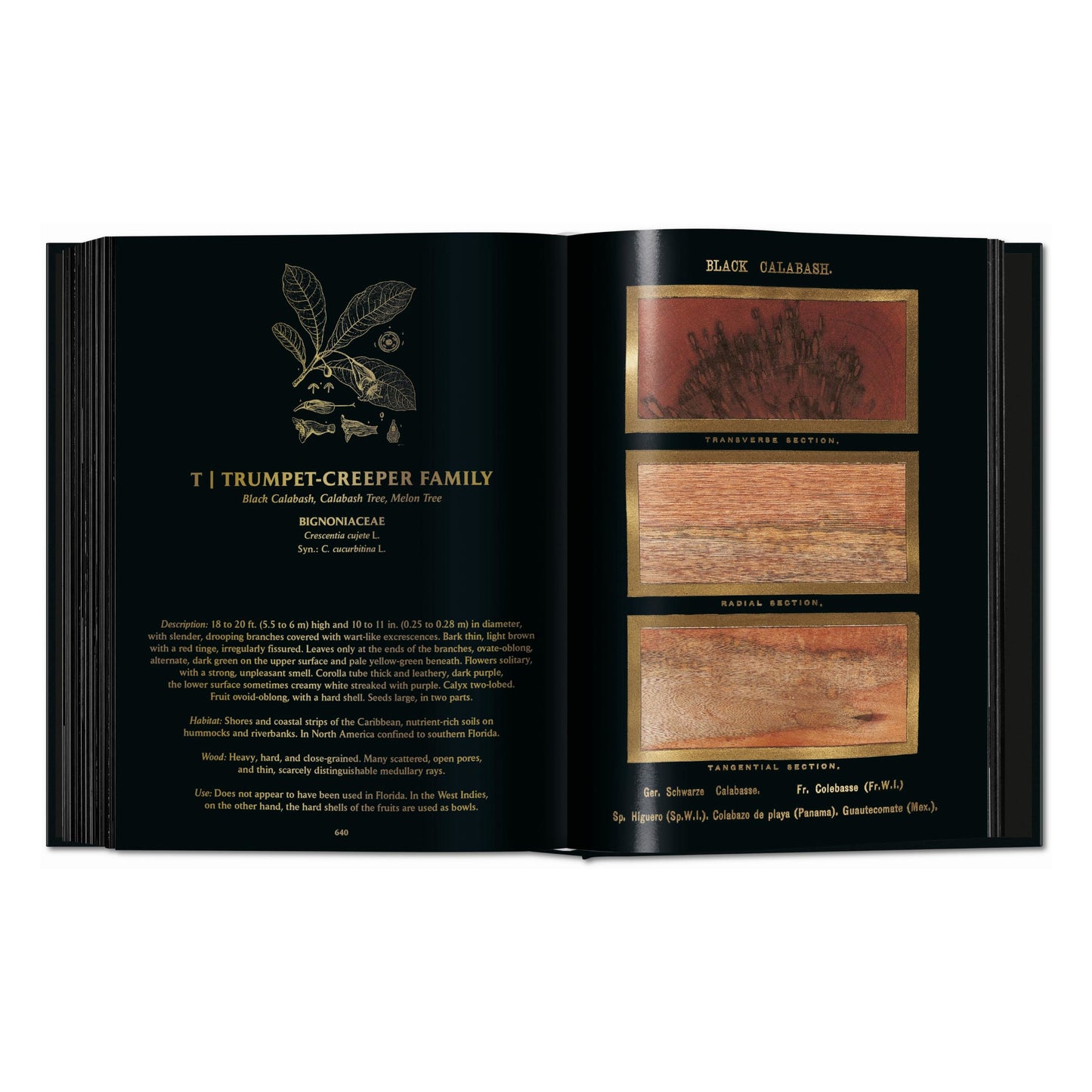 Romeyn B. Hough. The Woodbook. The Complete Plates (English) Book