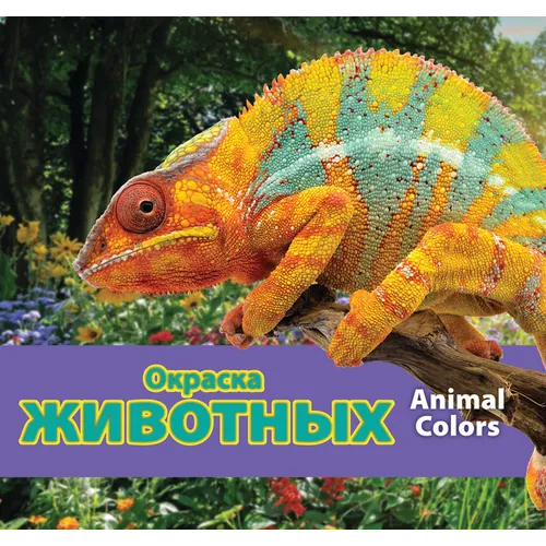 Окраска животных/Animal Colors (Russian)