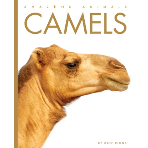 Camels
