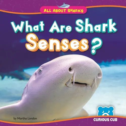 What Are Shark Senses?