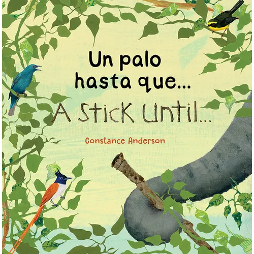 Un palo hasta que .../ A Stick Until ...