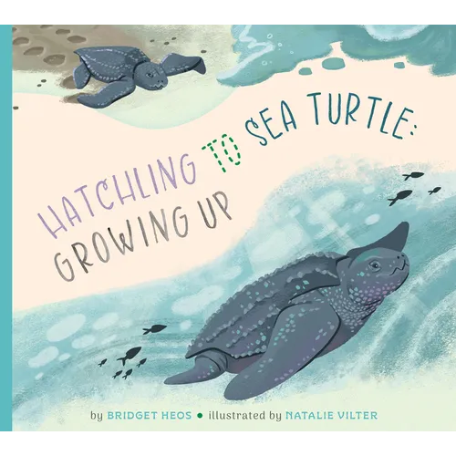 Hatchling to Sea Turtle: Growing Up