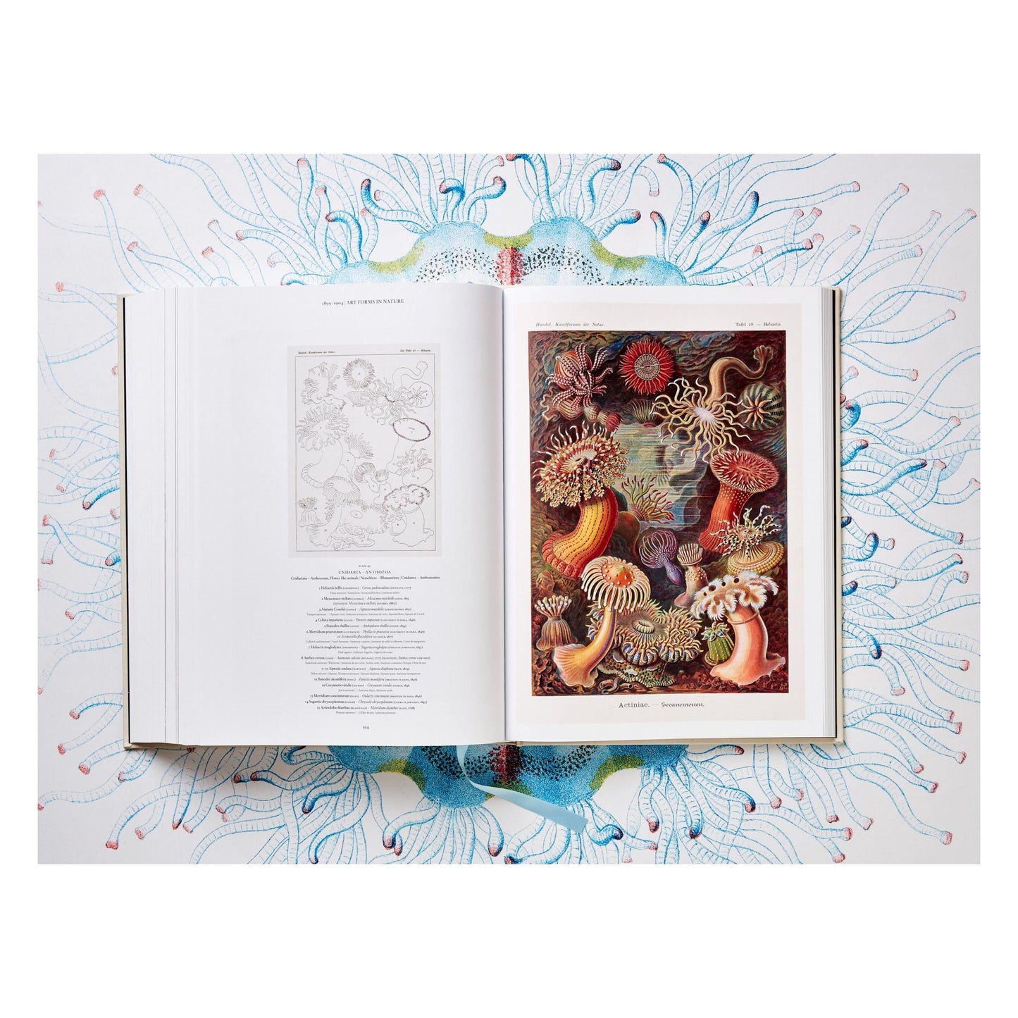 The Art and Science of Ernst Haeckel (German, French, English) Book