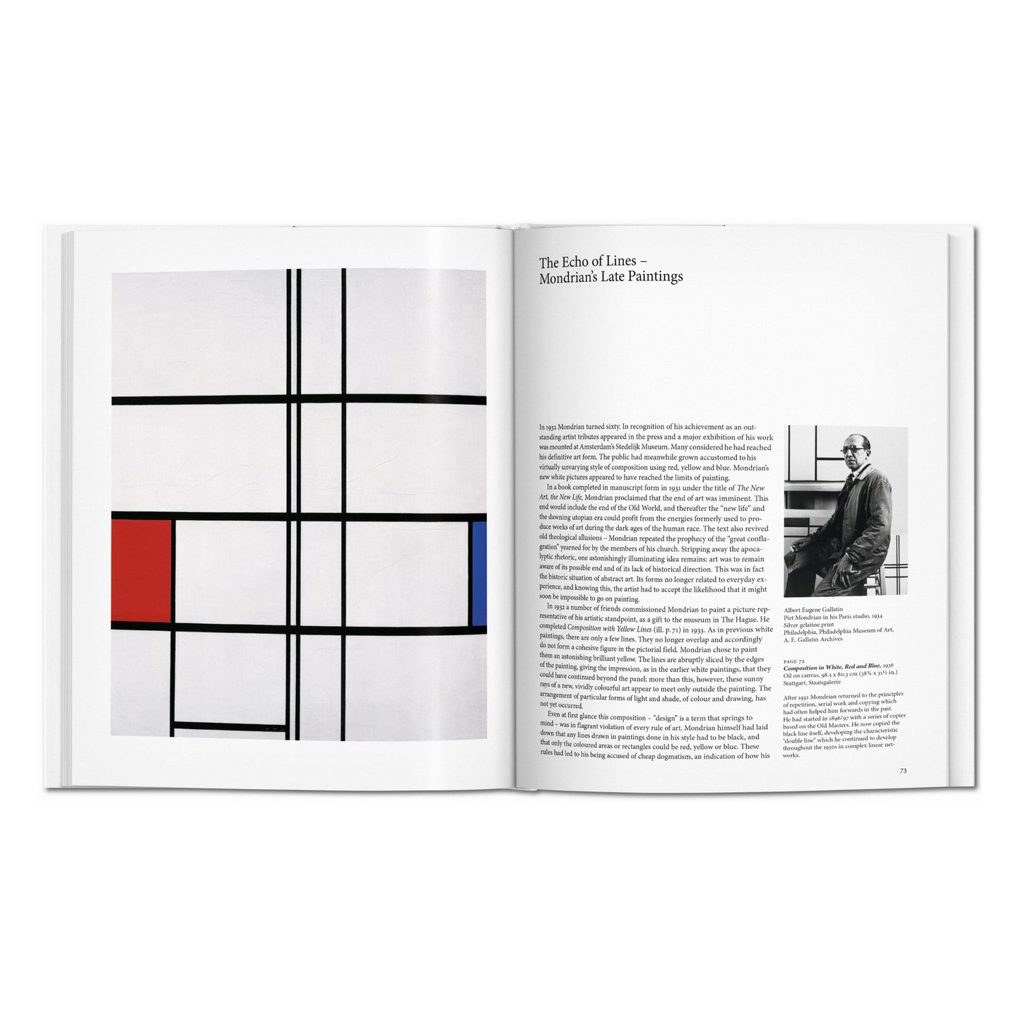 Mondrian (English) Book