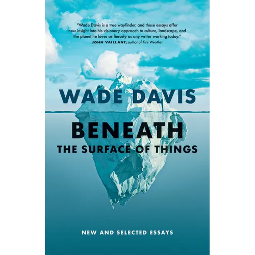 Beneath the Surface of Things: New and Selected Essays