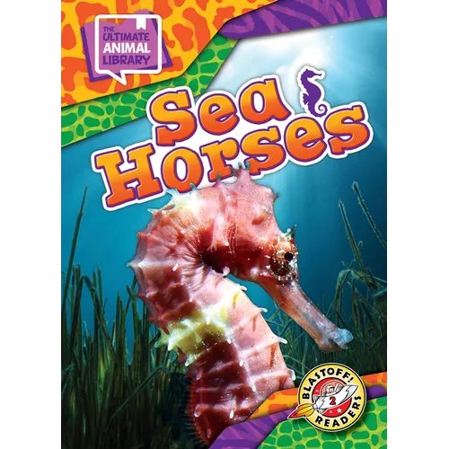 Sea Horses