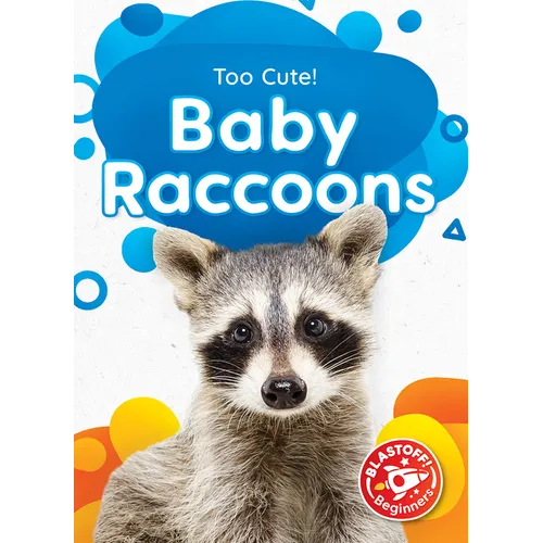 Baby Raccoons