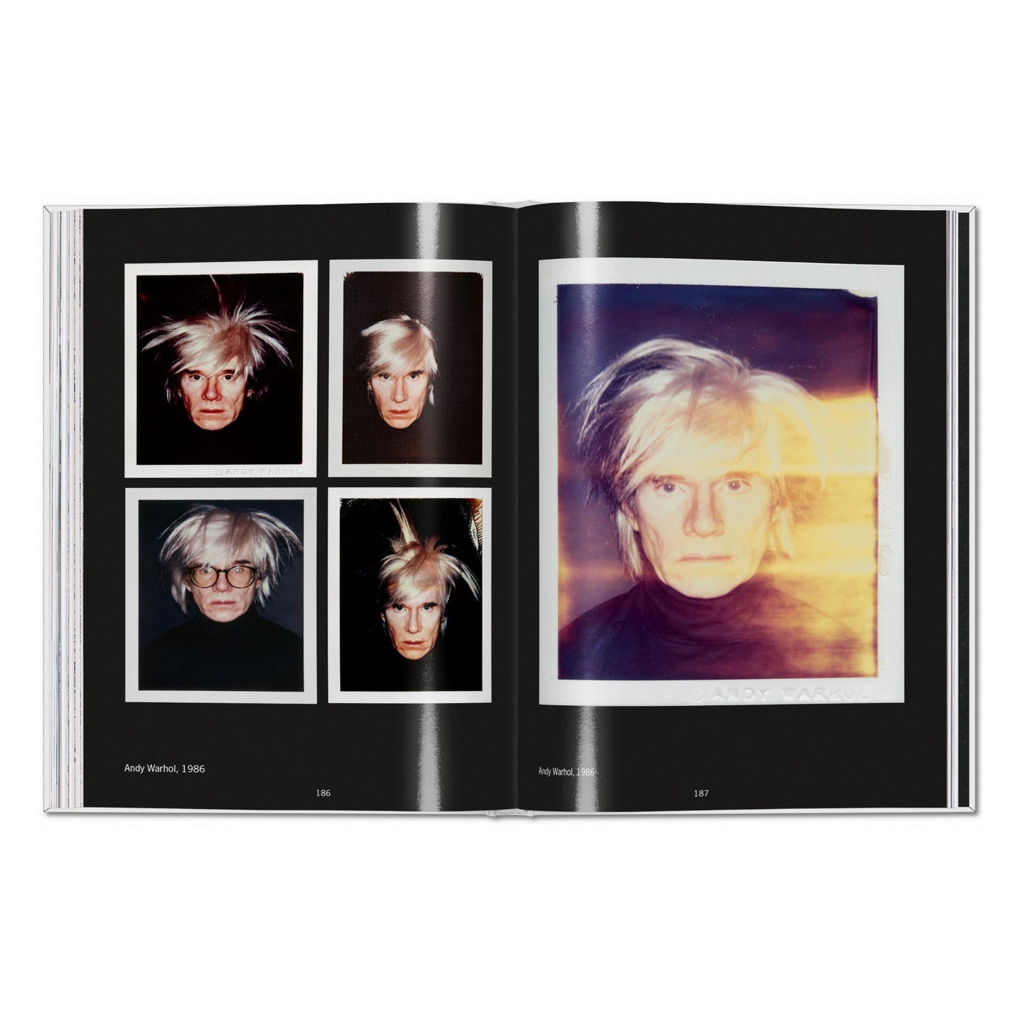 Andy Warhol. Polaroids 1958–1987 (English) Book