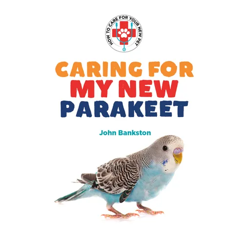 Caring for My New Parakeet