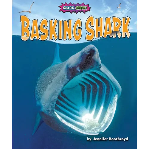 Basking Shark