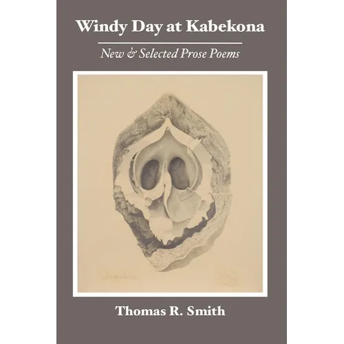Windy Day at Kabekona: New and Selected Prose Poems
