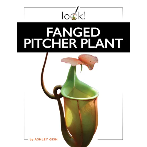 Fanged Pitcher Plant