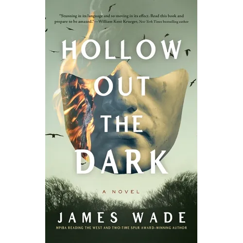 Hollow Out the Dark