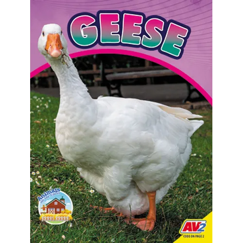 Geese