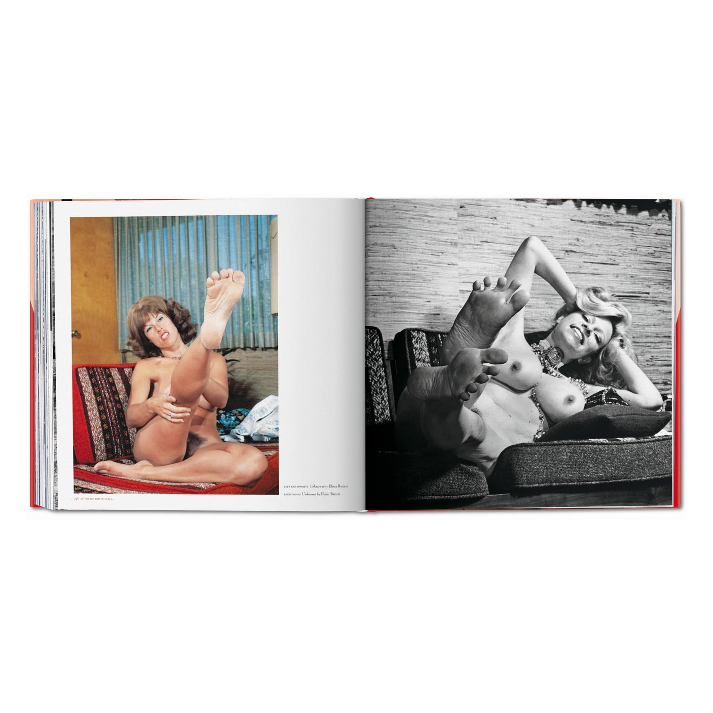 The Big Book of Legs (German, French, English) Book