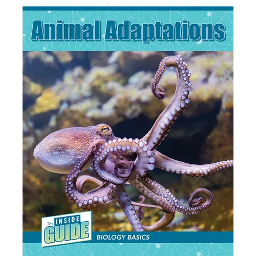 Animal Adaptations