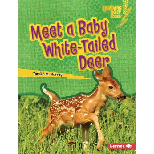 Meet a Baby White-Tailed Deer