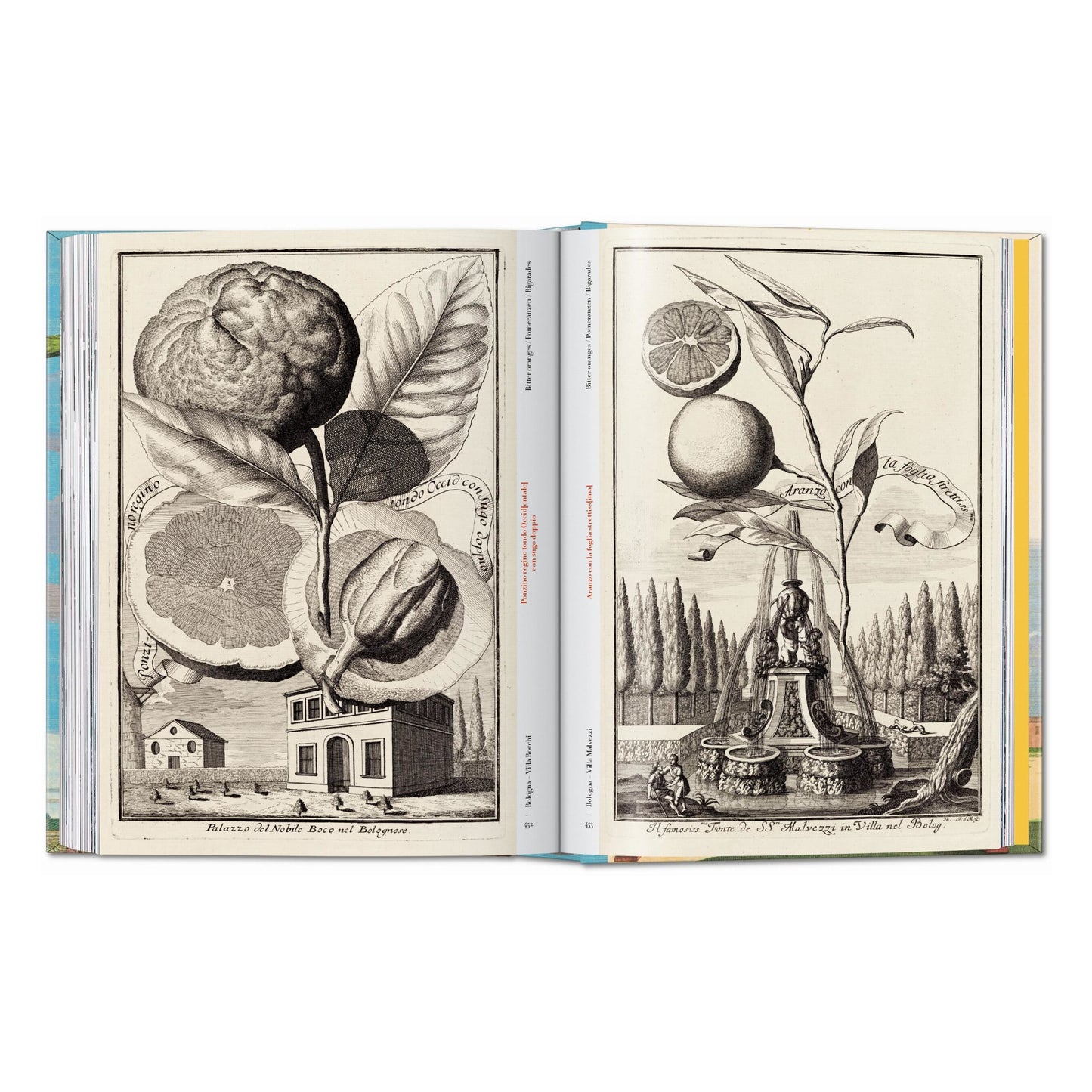 J. C. Volkamer. The Book of Citrus Fruits. 45th Ed. (German, French, English) Book