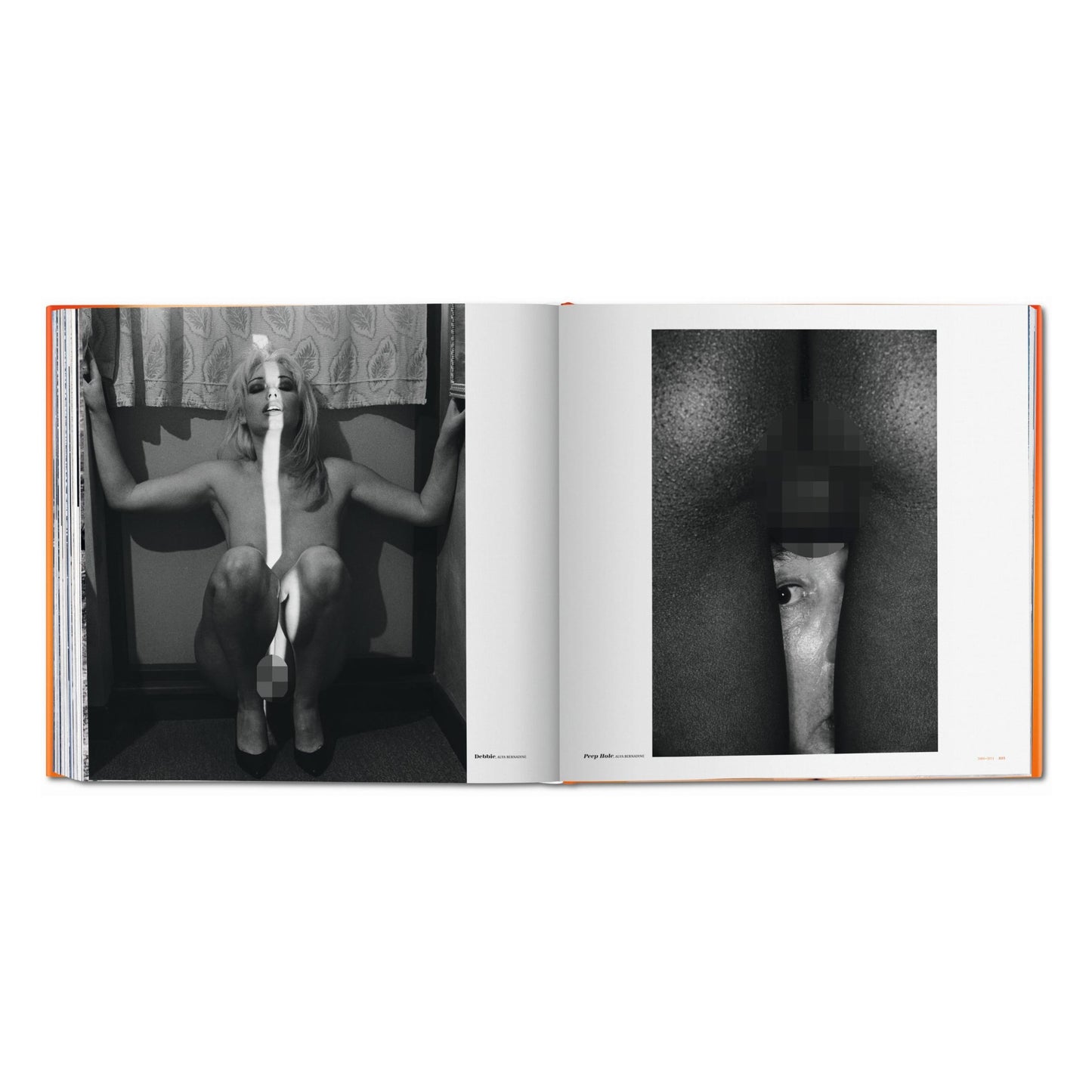 The Big Book of Pussy (German, French, English) Book