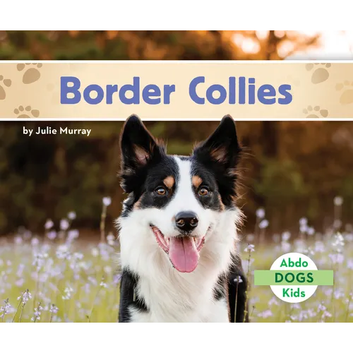 Border Collies